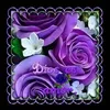 user100136715
