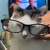 ladymeska17