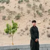harwn_f5
