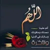 rabiahas0