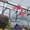 abengakbar9