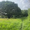 fofoofoekenvs