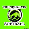 tinksoftball3