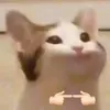 unhsgs