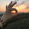 tunbong99