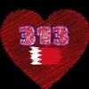 b313___