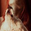 loba_blanca_solitaria