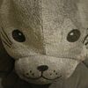 doly.m07