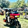 ramz_1974