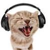 singing_gato