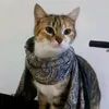 samiraiman6