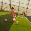 andi_gashi2