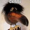 aeeeeeee001