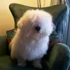 snoopy_limassol