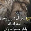 beshir84