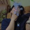 adampratama62
