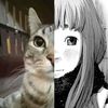 nicoll_hc