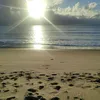 theuzsillva02