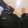 tenorio_asheeboee