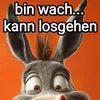akospetrass
