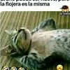 yitomon