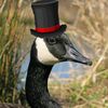 sirgoosethe2