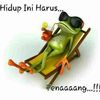 ijolzul