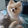 Alexandr