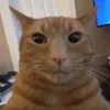 dailyrealcontent7