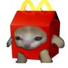 maiz_nt
