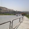 d2aamhamed2