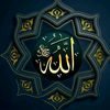 hamza34694