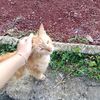 nurul.hdyh03