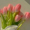 fariya25167