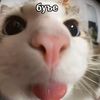 mr.creampie09