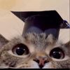 fatimatariq_10