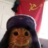 didi_213.4