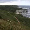kardoali09