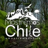 Mostremos chile