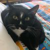handsomehenryjames