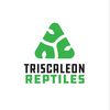 triscaleon
