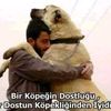 huseyinn_0046