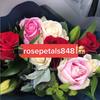 rosepetals848