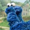 cookie_monster_g