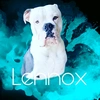 lennox_the_oebking