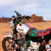 monirmonir517