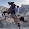سند الشهري 𓃗 .