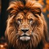 ahmad_ww55