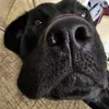 mrmonty86
