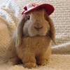 ahhhstuart